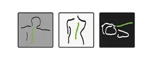 Chiropractie-De-Koning-320x177